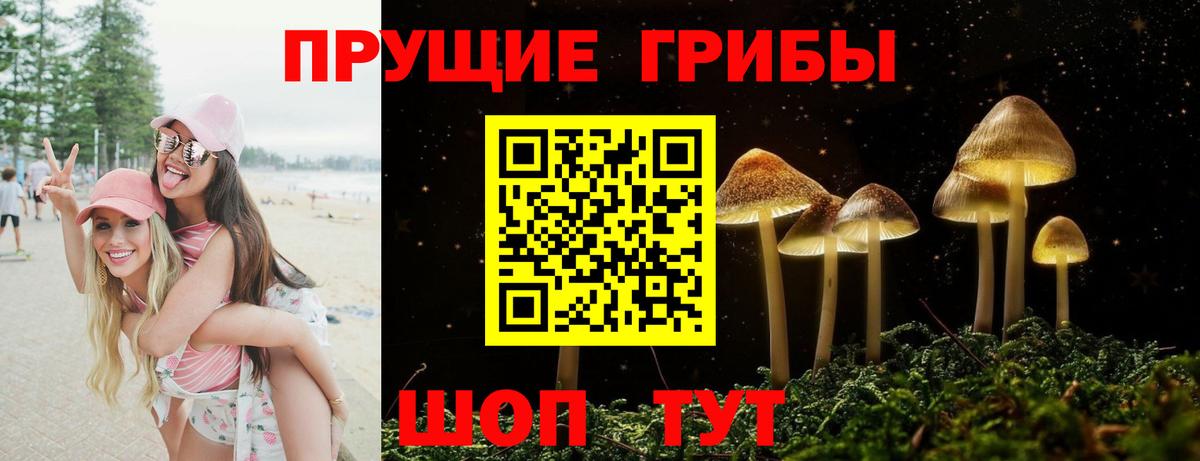 Псилоцибиновые грибы Psilocybe  Вход с VPN  Белебей 